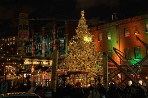 christian dior tree|distillery district Toronto christmas lights.